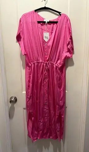Lucy Paris NWT Pink Button-Down Dress from Nordstrom. Size L. Adjustable waist