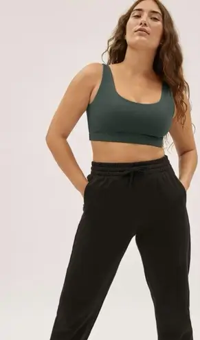 Everlane  The Perform Bra In Pine