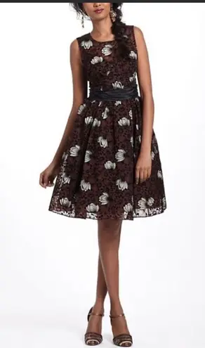 Tracy Reese Frock by Size 4 brown Silk Floral Dress