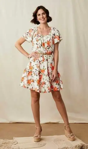 Matilda Jane NWT Womens Enchanted Garden Parker Floral Scoop Neck Swing Dress 2X