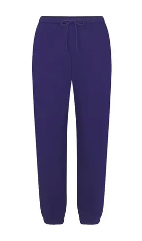 SKIMS Cotton Fleece Classic Jogger in Concord, Size Small