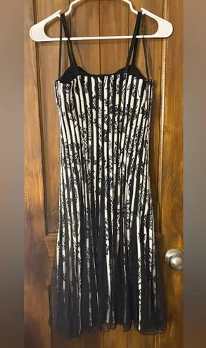 Maner Black and White Striped Dress