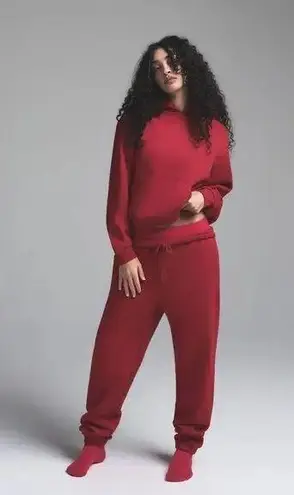 SKIMS Cotton Fleece Classic Hoodie in Brick, Size XXS