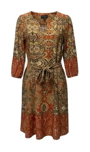 AUW Multicolored Paisley 3/4 Sleeve Dress Size 6