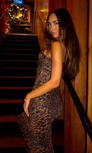 ZARA  Maxi Dress Mesh Cheetah Animal print leopard  Bodycon Fitted