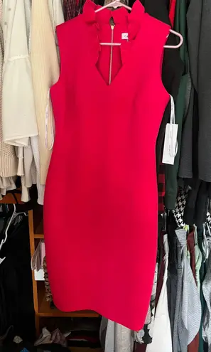 Calvin Klein Jeans Hot Pink Straight Formal Dress