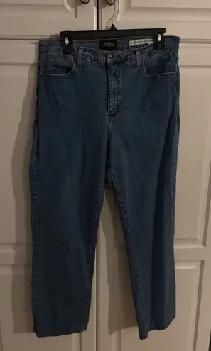 Not Your Daughters Jeans Womens 16WP Blue Denim Straight Leg Jeans Size 16W