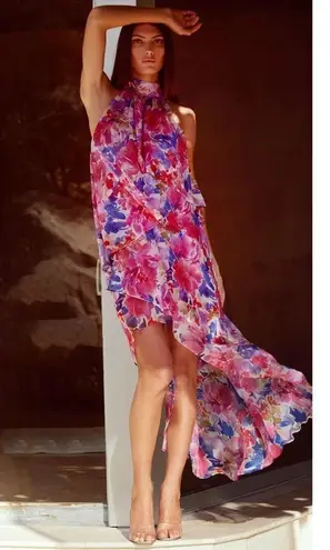 MISA Los Angeles MISA NWOT Los Angeles Victorine Dress In Full Bloom Women’s Size:XS