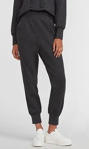 EXPRESS Women’s Embellished Rhinestone Classic Cotton Fleece Lined Joggers Small