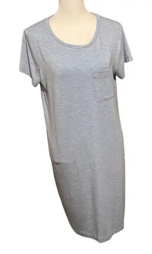 Artisan NY NWT super soft T-shirt dress coverâupâloungerâlightâblue