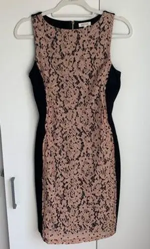 Weston Pink Black Lace Crewneck Bodycon Dress XS