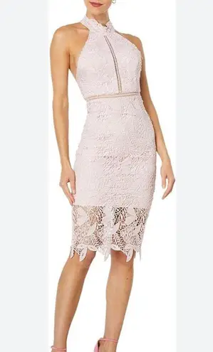 Bardot Women’s 4 Pink Gemma Floral Lace Halter Backless Eyelet Sheer Midi Dress