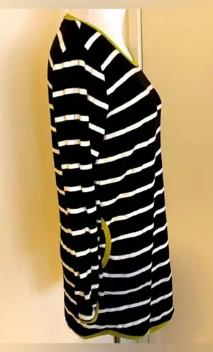 Hidden Path of Light Striped Trendy Mini Dress Long Sleeves/Made in Korea Black