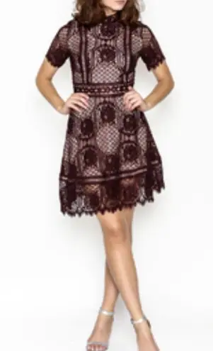 BB Dakota  Burgundy Aria Lace Short Sleeve Fit & Flare Party Dress W-723 Sz 4