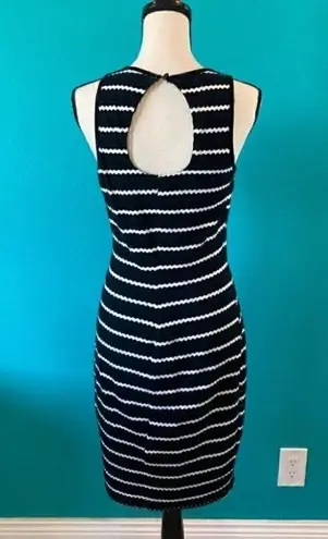 Cache  black and white long dress in size medium