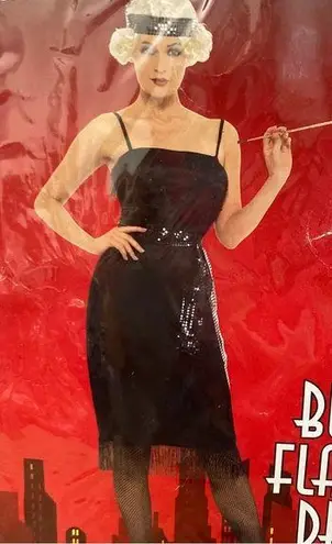 NEW Roaring 20’s Flapper Dress Outfit Halloween Costume Black Size 1X