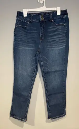 Terra & Sky Women Plus Size 14W Stretch Denim Skinny Jeans Elastic Waist Band