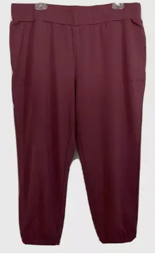 LOGO By Lori Goldstein LOGO Lounge by Lori Goldstein Petite Jogger Pant Rum Rasin A451274 NWT Sold Out