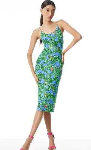 Alice + Olivia 💕💕 Delora Spaghetti Strap Midi Dress Spring Paisley Print 2 NWT