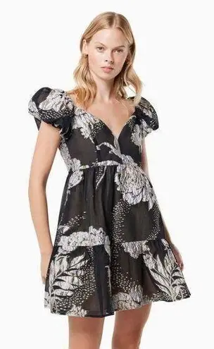 Elliatt NWT Picard Floral Jacquard Mini Dress in Black Silver/Gold Size Small