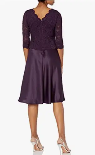 Alex Evenings Womens Size 12 Tea-Length Lace Mock Special Occasion Dress, Deep Plum, Reg $450.15