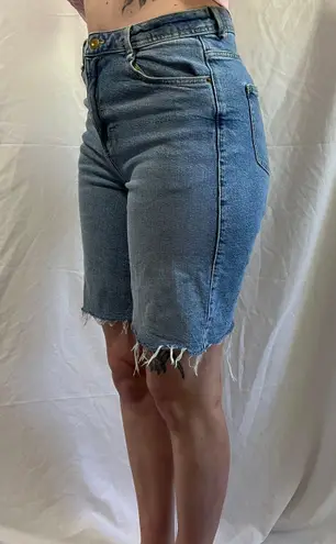 ZARA Shorts