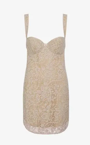 Rumored Lace Dress