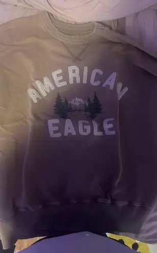 American Eagle Outfitters Oversized Crewneck