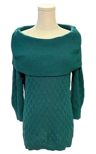 Jaclyn Smith Sweater Knit Turtle Neck Green Womens Size Medium
