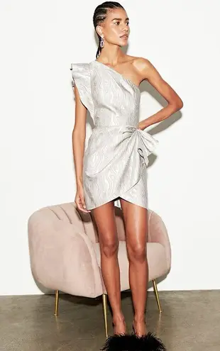 Saylor Ann Woodgrain Jacquard Mini Dress, Silver Size M EXCELLENT!