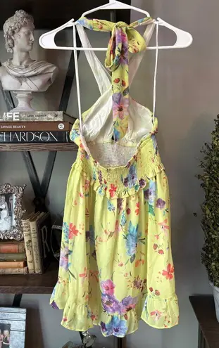 Rays for Days Louise Chiffon Mini Dress Love Bird Floral Womens Size Small Pink