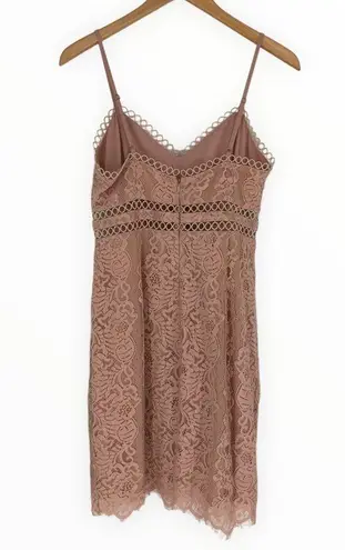 Storia  Blush Pink Lace Trim Dress Cami Straps Sheer Panels size Medium