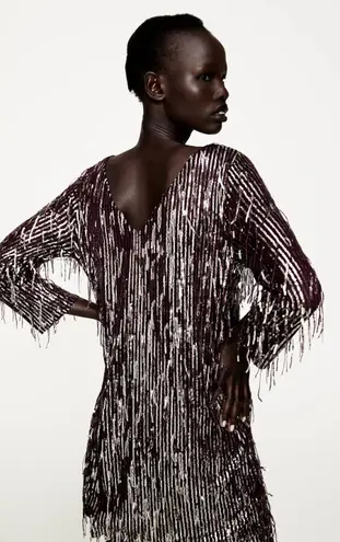 Fringed sequin dress zara hotsell