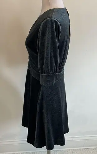 The East Order Thistle Velvet Mini Dress