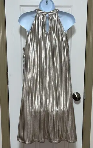 THML Shimmering Champagne/Gold Color Swing Dress