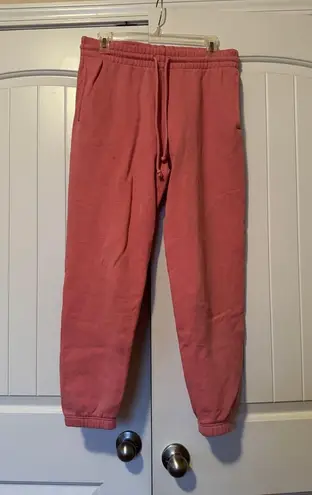 Aritzia Tna Cozy Fleece Perfect Sweatpants