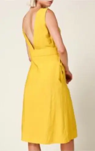 Line and Dot Yellow Ninette Dress