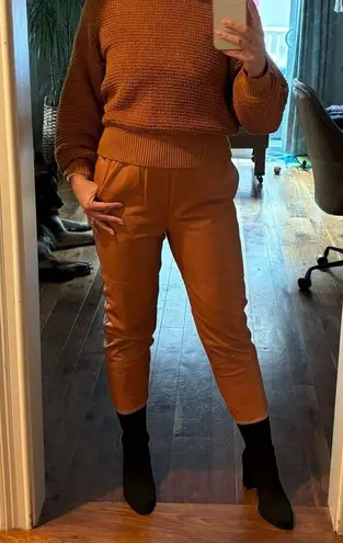 Genuine Sheepskin Leather Pull On Pants in Caramel XS Brown