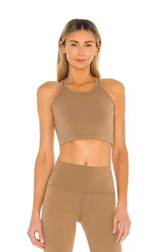 Electric And Rose Brown Athletic Crop Top