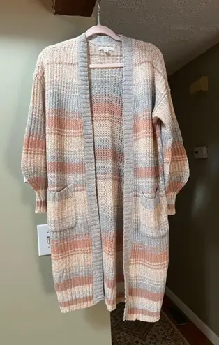 American Eagle Cardigan