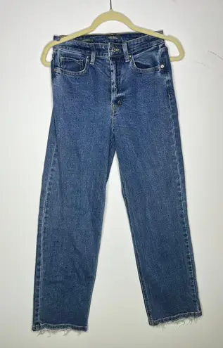 Wild Fable High Rise Straight Leg Jeans