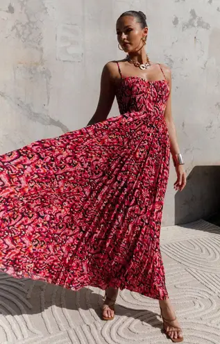 Petal and Pup Maxi Dress