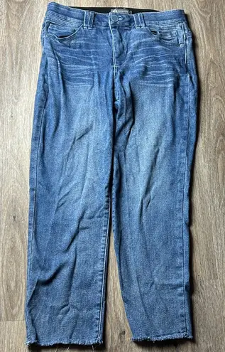 Democracy “Ab Technology” Ankle Jeans Size 12