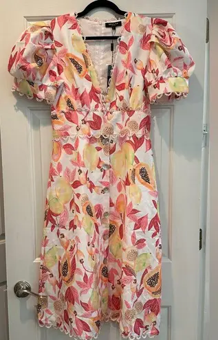 Beulah NWT Style Papaya dress Size L