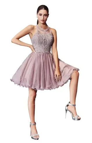 Short ForyouDress with Gray Applique for Homecoming Prom Birthday Dama Party Size M