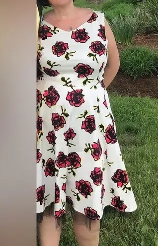 Hearts and Roses Swing Pin Up Tulle Trim Dress Graffiti Rose White, US 14 White