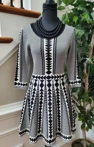 Nina Leonard  Black/White Rayon Round Neck Long Sleeve Knee Length SweaterDress M