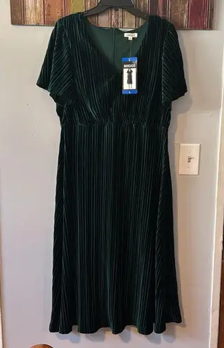 Briggs New York Briggs Ladies Pleated Velvet Dress NWT