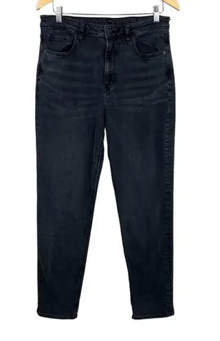 American Eagle  Mom Jeans Women 12 X29 X-Long Charcoal Black Straight Leg Stretch