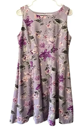 Sandra Darren Fit & Flare Floral Dress Size 8p Knee Length Sleeveless Cottage